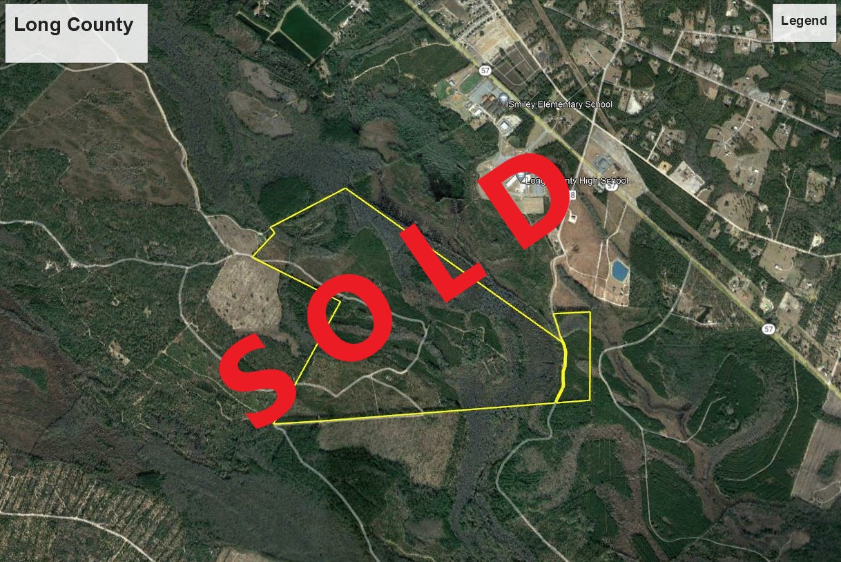 Long County Properties